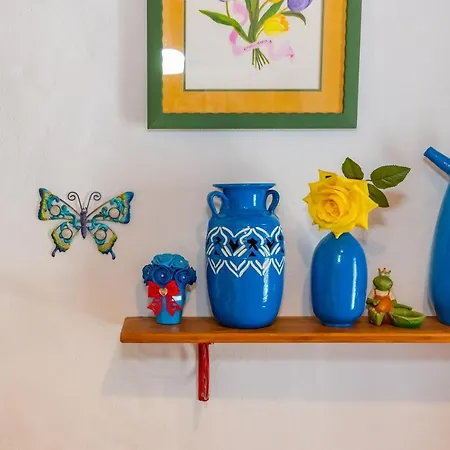 La Casita De Mariposas *